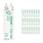 Mehrfachpackung 25x Osram T8 Lumilux 15W - 865 Tageslichtweiß | 43cm